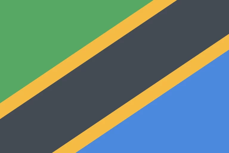 Tanzania flag illustration vector