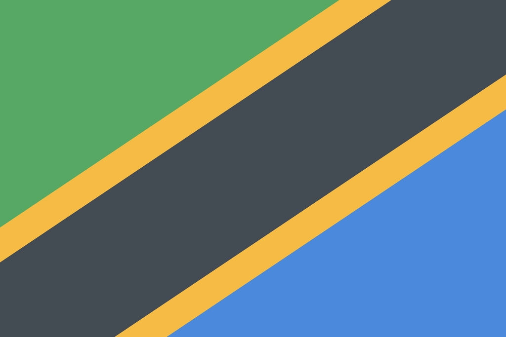 Tanzania flag illustration vector