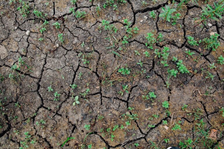 Knysna Day Zero water crisis