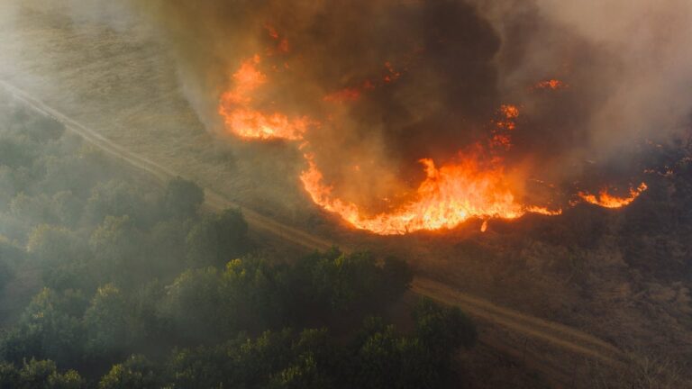Wildfires Africa