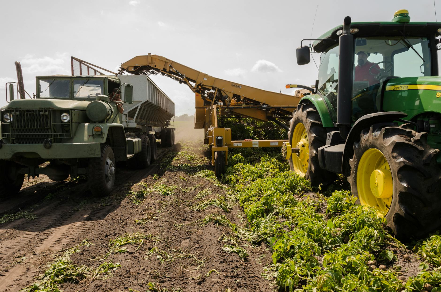 Israeli agricultural exports Gaza war