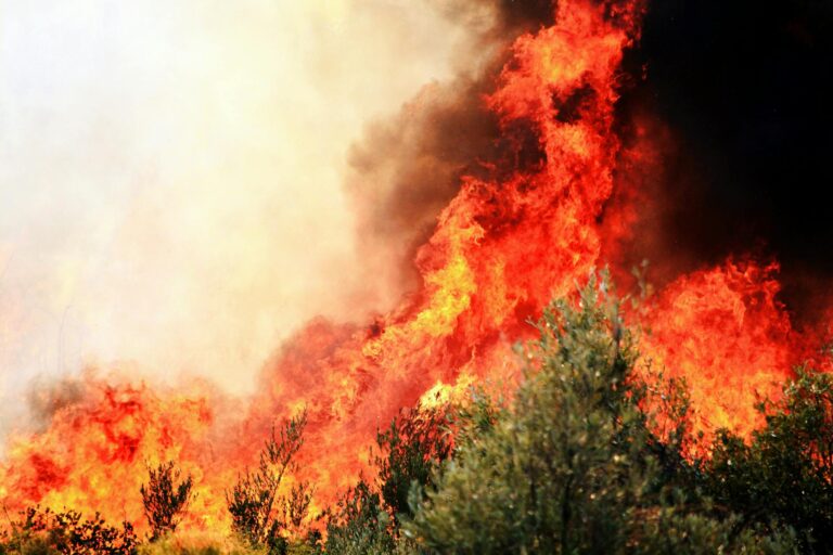 Wildfires east of Cape Town burn near Franschhoek as fire crews battle strong winds