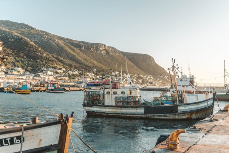 Turmoil grows in South Africa’s fishing industry