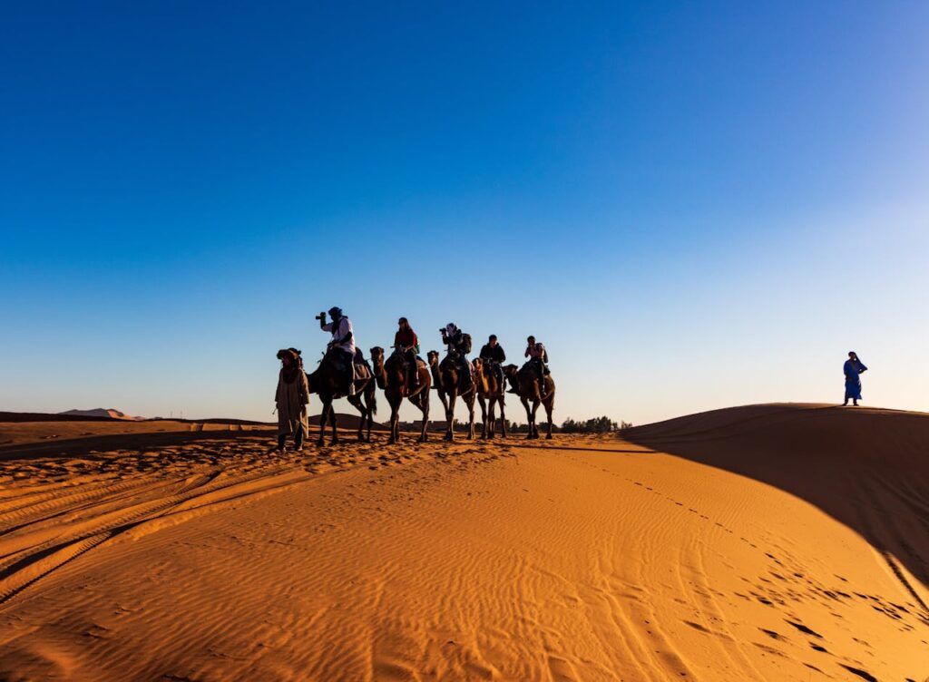 Morocco Desert with camels