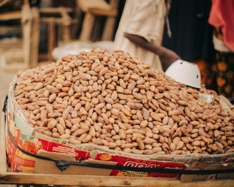 Ghana Cocoa Farmer Destroys Farm After Cocoa Price Cut