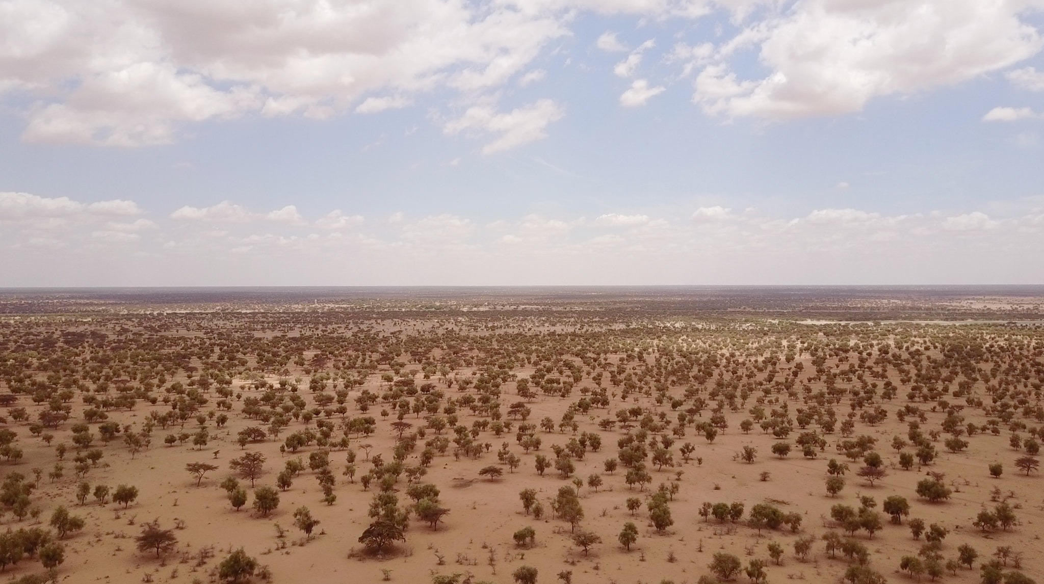 Great Green Wall