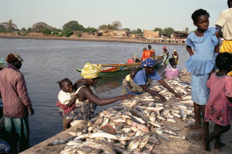 Senegal artisanal fishing women